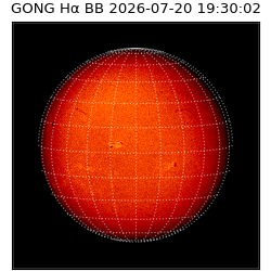 gong - 2026-07-20T19:30:02