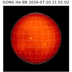 gong - 2026-07-20T21:01:02