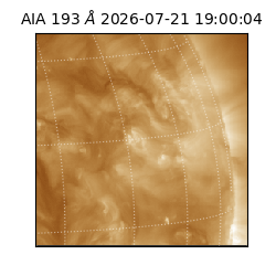 saia - 2026-07-21T19:00:04.843000