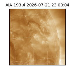 saia - 2026-07-21T23:00:04.842000