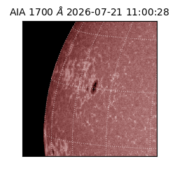 saia - 2026-07-21T11:00:28.716000