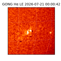 gong - 2026-07-21T00:00:42