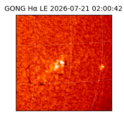 gong - 2026-07-21T02:00:42