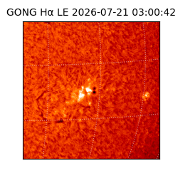 gong - 2026-07-21T03:00:42