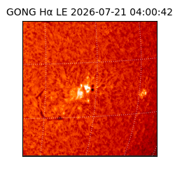 gong - 2026-07-21T04:00:42