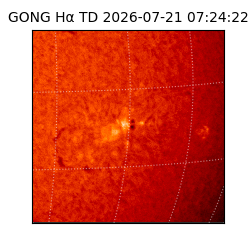 gong - 2026-07-21T07:24:22