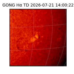 gong - 2026-07-21T14:00:22