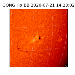 gong - 2026-07-21T14:23:02