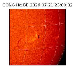 gong - 2026-07-21T23:00:02
