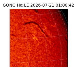 gong - 2026-07-21T01:00:42
