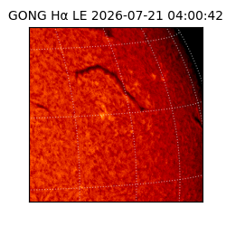 gong - 2026-07-21T04:00:42