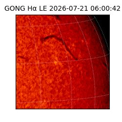 gong - 2026-07-21T06:00:42
