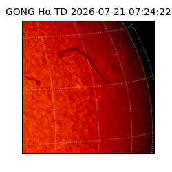 gong - 2026-07-21T07:24:22