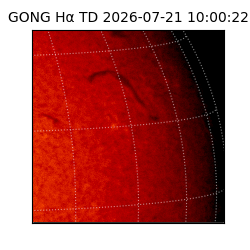 gong - 2026-07-21T10:00:22