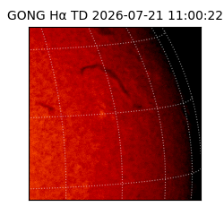 gong - 2026-07-21T11:00:22