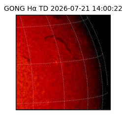 gong - 2026-07-21T14:00:22
