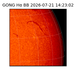 gong - 2026-07-21T14:23:02