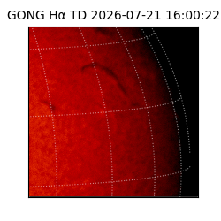 gong - 2026-07-21T16:00:22