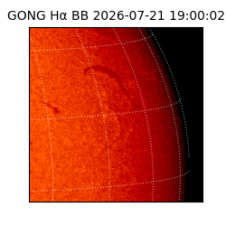 gong - 2026-07-21T19:00:02