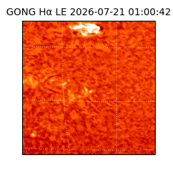 gong - 2026-07-21T01:00:42