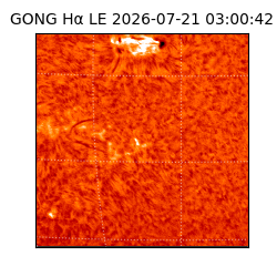 gong - 2026-07-21T03:00:42