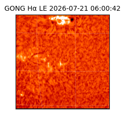 gong - 2026-07-21T06:00:42