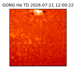 gong - 2026-07-21T12:00:22