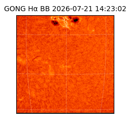 gong - 2026-07-21T14:23:02