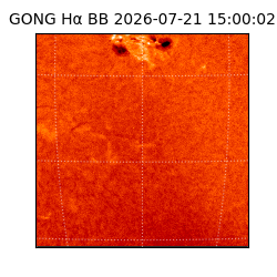 gong - 2026-07-21T15:00:02