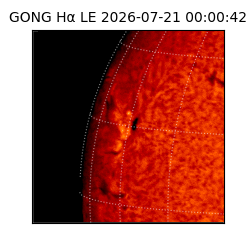 gong - 2026-07-21T00:00:42