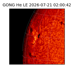 gong - 2026-07-21T02:00:42