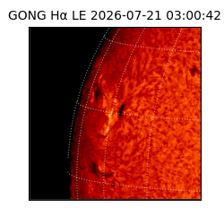 gong - 2026-07-21T03:00:42