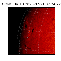 gong - 2026-07-21T07:24:22