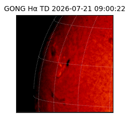 gong - 2026-07-21T09:00:22