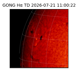 gong - 2026-07-21T11:00:22