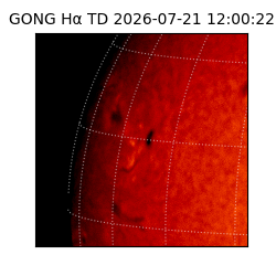 gong - 2026-07-21T12:00:22
