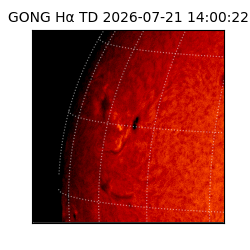 gong - 2026-07-21T14:00:22