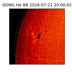 gong - 2026-07-21T20:00:02