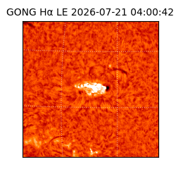gong - 2026-07-21T04:00:42