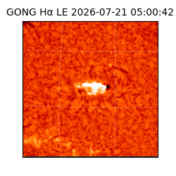 gong - 2026-07-21T05:00:42