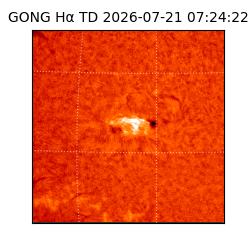 gong - 2026-07-21T07:24:22