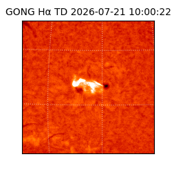 gong - 2026-07-21T10:00:22