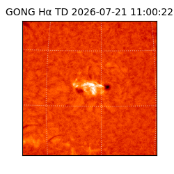 gong - 2026-07-21T11:00:22