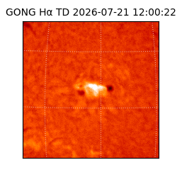 gong - 2026-07-21T12:00:22