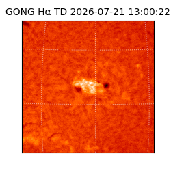gong - 2026-07-21T13:00:22