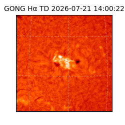 gong - 2026-07-21T14:00:22