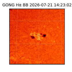gong - 2026-07-21T14:23:02