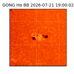 gong - 2026-07-21T19:00:02