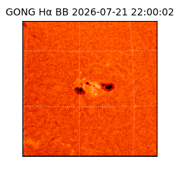 gong - 2026-07-21T22:00:02