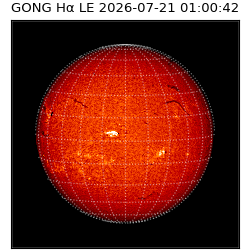 gong - 2026-07-21T01:00:42